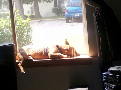 auggren's profile picture. 