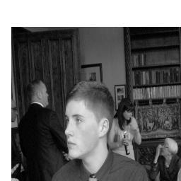 Irish,16