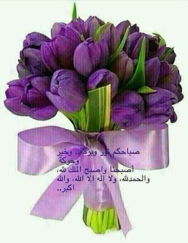 ‏‏‏‏سﻻم قوﻻ من رب رحيم
