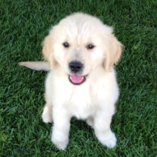 BonnieNerison's profile picture. 