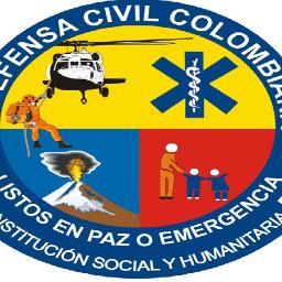 director de obras