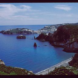 PonzaPonza1's profile picture. 