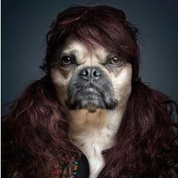 AletsImbert's profile picture. Informático y administrador, menos FACE y más Book. Respaldo, luego existo. Budista perdido en tierra guadalupana... ME CAGA EL FUT.