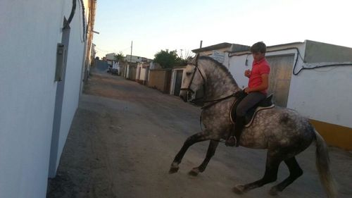 FmscSantana's profile picture. santana