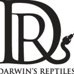 DarwinsReptiles's profile picture. We are home based reptile breeders from Calgary Alberta