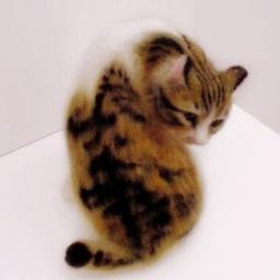 猫製作を人生の糧として喜びとして(猫業)芸術活動をしております。 主にＸよりもFacebookに居ることが多いです。猫美術研究所・日本羊毛アート学園代表、平泉美術協会正会員 ★お問い合わせrealcathead@gmail.com