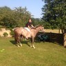 countrytrader28's profile picture. Live and breathe horse racing. Love all sport, travel. All views are my own.