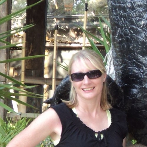 Mom of 2 Awesome Boys, Librarian, Teacher, Soccer Mom, Liverpool Fan! These are my views and do not reflect those of my employers.