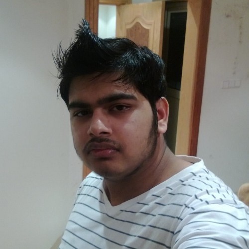 Pakistani / Muslim