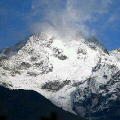 dragox989's profile picture. 