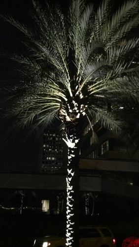 westbballdad73's profile picture. Basketball/Girl Dad! Arrowhead Lakers Youngstown State