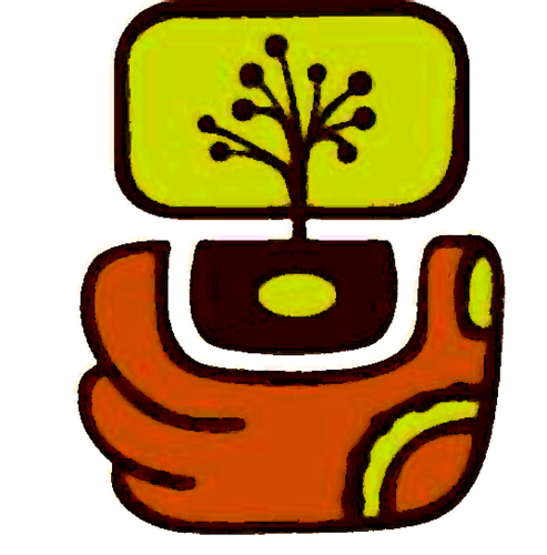 Café orgánico mexicano