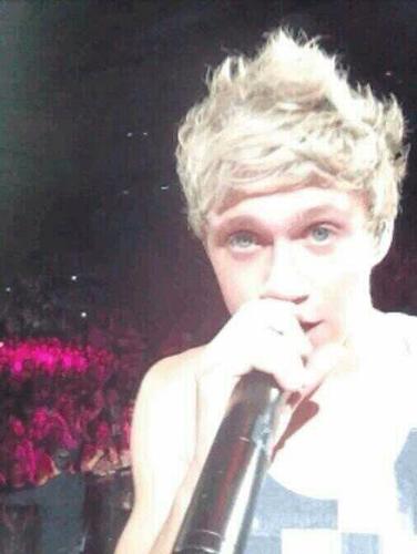 THIS IS A FREE FOLLOW. GO FOLLOW @iWhoraniall cause she's close to her goal