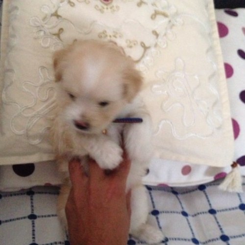 pnralbatros's profile picture. 