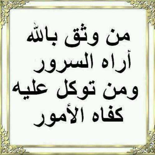 فإذا عطشت في طريق العلم ،فليكن القرآن سُقيا لروحك🌸🍃.