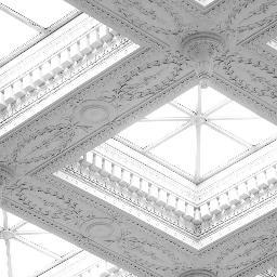 sjaskovi's profile picture. 