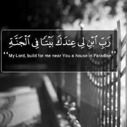 areeej1433's profile picture. 