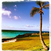 Discover Bahamas(@DiscoverBahamas) 's Twitter Profileg