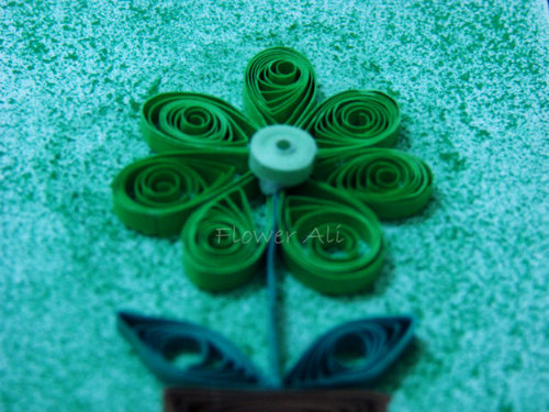 Interested in quilling papers & reading .. Instagram: amani3187