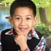 Li Chen (@daodaotree) 's Twitter Profile