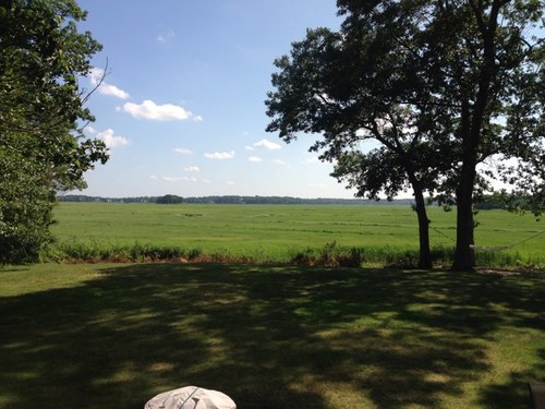 M_Lesniak's profile picture. 