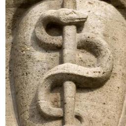 actnowfirstaid's profile picture. Paramedic, CPR,ACLS,PALS Instructor