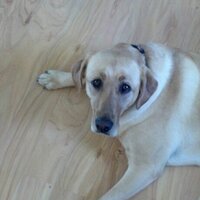 D (@dbaer409) 's Twitter Profile