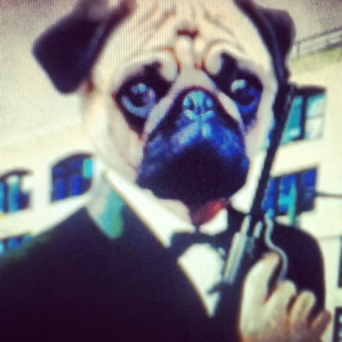 absolutjoba's profile picture. 