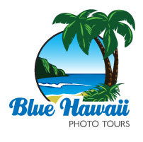 Oahu Photography Tours with Aloha Spirit.  Sunsets, Wildlife, Mountains, & Big Surf.