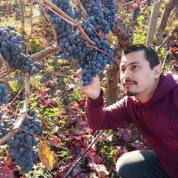 El vino en Colchagua y la sidra en el Sur. ¡Qué maravilla! En IG @carlos_lopez_sidrademivida