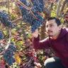 CarlosA_LR's profile picture. Vino de Colchagua y la sidra en el Sur. ¡Qué maravilla! IG sidrademivida