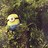 _stuartmathew's profile image