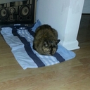 Zach Tanner - @ZachTanner3 - Twitter