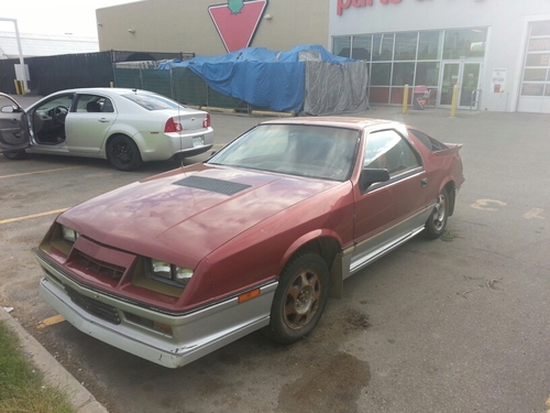 born in the prairies. Moved to the big city. Made my money. Now gone back to the same old simple life.