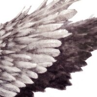 はいばね (@haibane_ff) 's Twitter Profile