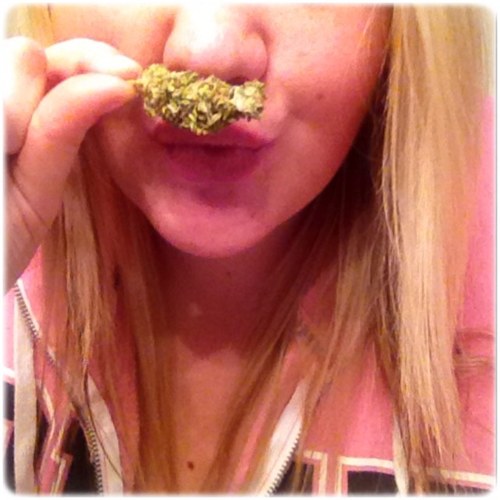 shetokesup Profile Picture
