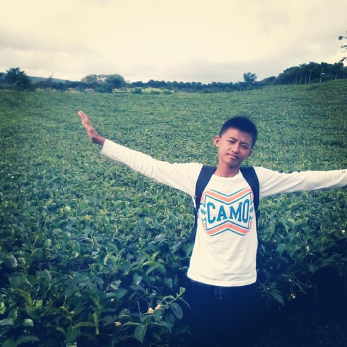 I'm sorry..........,I'm not perfect.