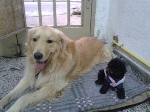 andrerstar's profile picture. 