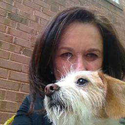 K-9 Training & Behavioral Therapy..... Going to the Dogs