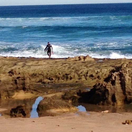 Latin American dance. Coffee. Batman. Bodyboarding. 

XXX