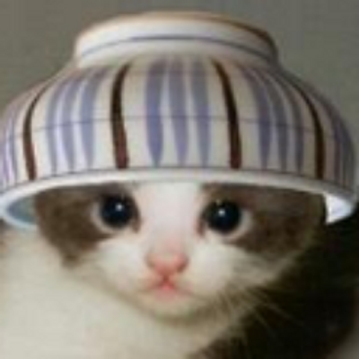 おもしろ動物画像 Funny Animals Twitter おもしろ動物画像 Funny Animals Twitter