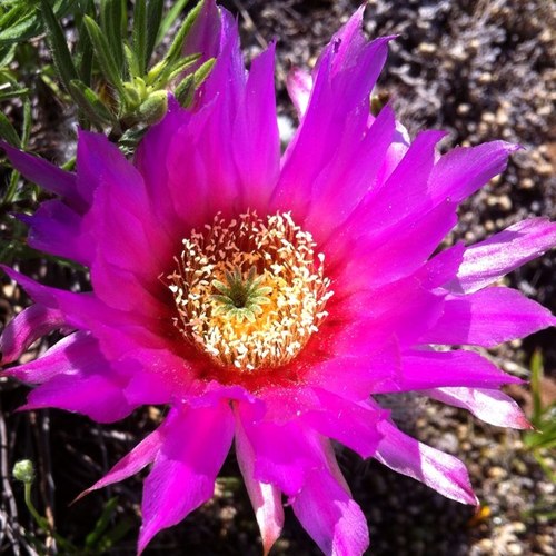 yocheved00's profile picture. 