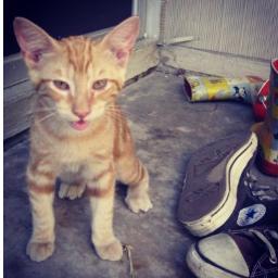 becks_atx's profile picture. pro-choice texas mama, finally gave into twitter.