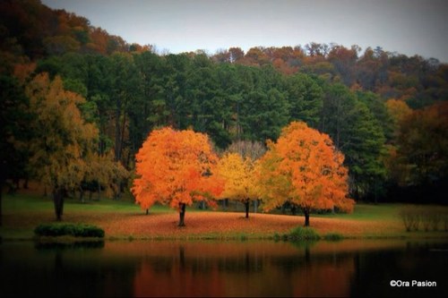 nature at it's finest