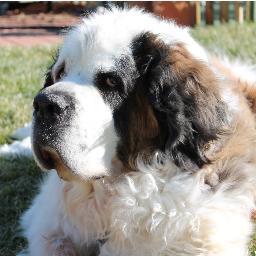 We do rescue... We are in it for the animals... no glory, no egos and LEAVE the DRAMA at the door!
