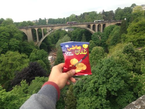 Sultan_Zamana7's profile picture. 