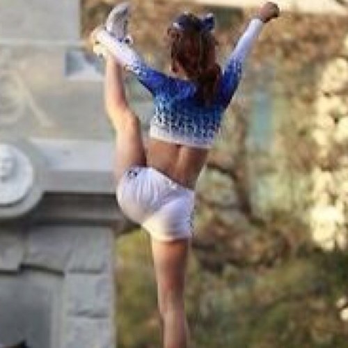 Cheer is Life
