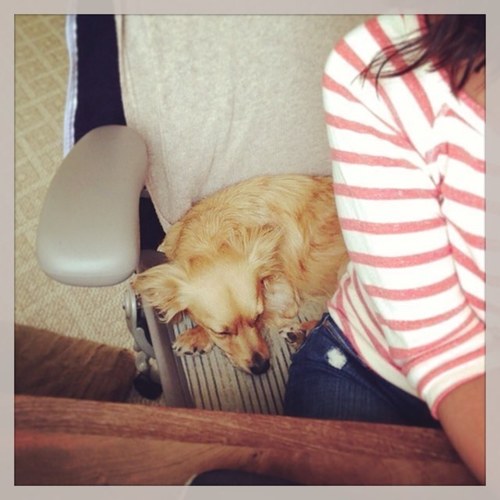 heatherjaymes's profile picture. 