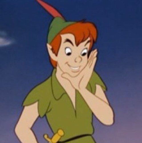 Fly to neverland? Peter Pan aka Head Lost boy. My best friend Tink's always by my side. I'll slay that old codfish, Captain Hook! I'm never growing up!
