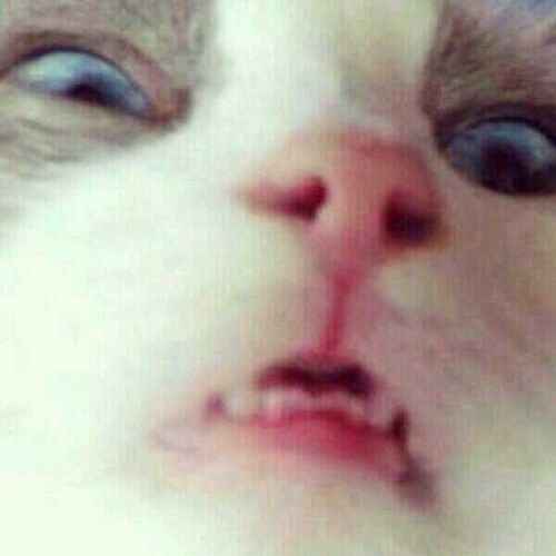 like srsly